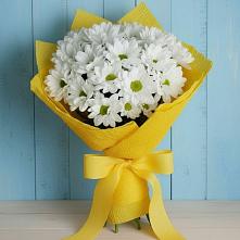 Букет цветов из:  Хризантемы в Высоком Мурманская область