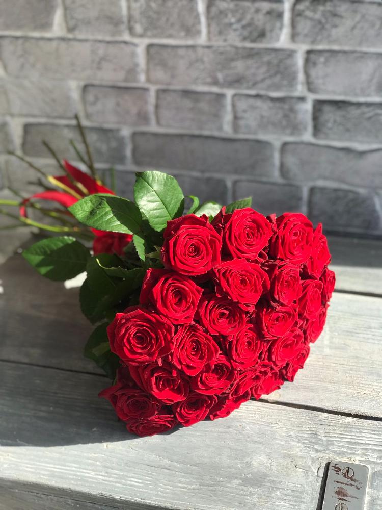 Букет Красные розы Фридом в Высоком Мурманская область