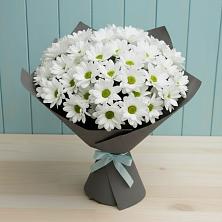 Букет цветов из:  Хризантемы в Высоком Мурманская область