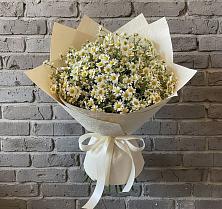 Букет цветов из:  Ромашки #REPLACE_PRED# Высоком Мурманская область