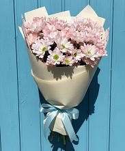 Букет цветов из:  Хризантемы в Высоком Мурманская область