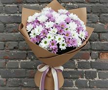 Букет цветов из:  Хризантемы в Высоком Мурманская область