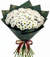 Букет цветов из:  Хризантемы в Высоком Мурманская область
