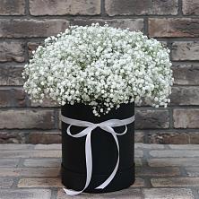 Цветочная композиция из Гипсофила в шляпной коробке в Высоком Мурманская область