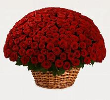 Премиум букет из: Розы в Высоком Мурманская область