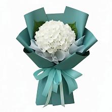 Букет цветов из:  Гортензия в Высоком Мурманская область